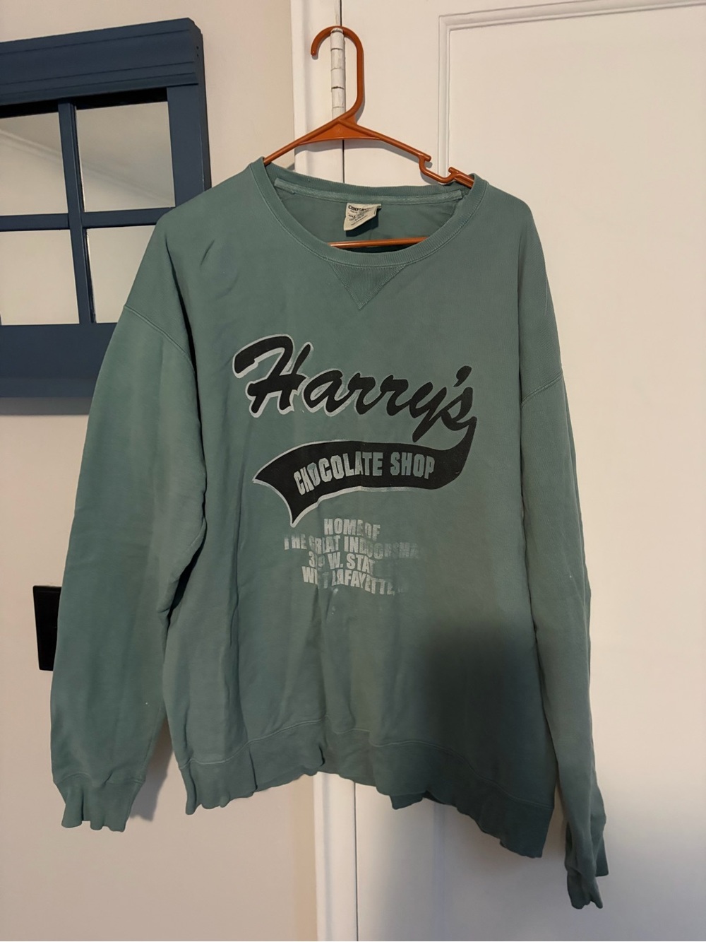 Vintage-Style Crewneck Sweatshirt in Sage Green with Graphic Logo